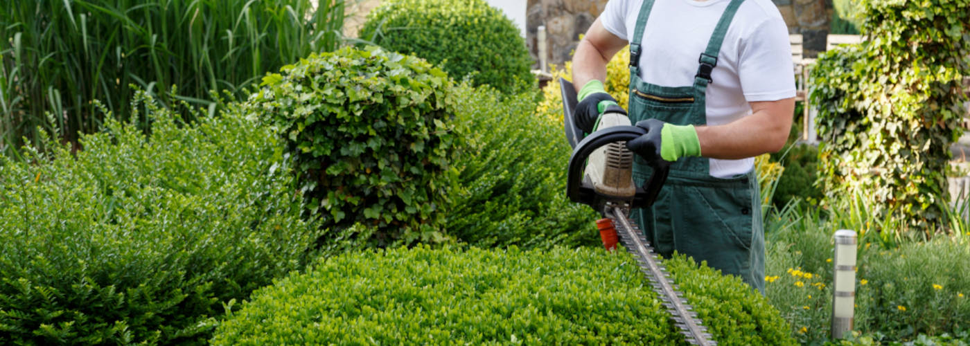 Featured Image for GEN Global, LLC